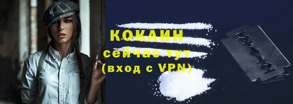 Альфа ПВП Сосновый Бор