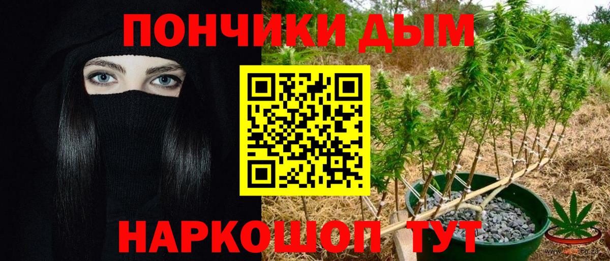 Бошки Шишки MAZAR  Каннабис семена  Узловая  Каннабис планчик  Вход с VPN  Бошки марихуана LSD WEED 